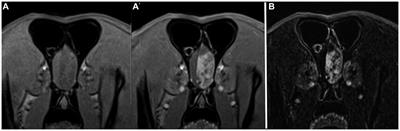 Magnetic resonance imaging subtraction vs. pre- and post-contrast 3D gradient recalled echo fat suppressed imaging for evaluation of the canine and feline brain